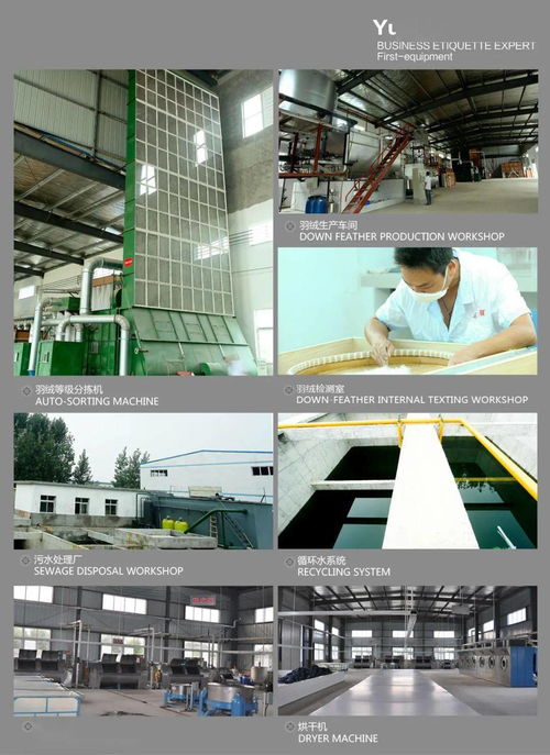 天門服裝產業新機遇 大型現代化服裝廠招賢納士，優質車間倉庫同步租售